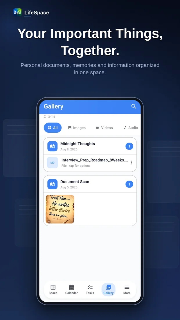 Gallery view listing images, videos, audio and files.